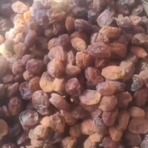 新疆干果新货杏干新疆博乐杏干保质保量量大优惠