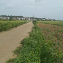 村集体土地出租
