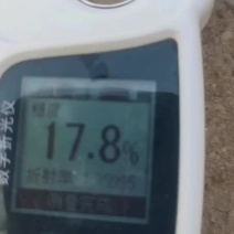 哈密瓜！小蜜二五，一手货源，代购代发全国各地！
