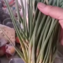 蒜苔