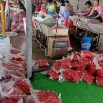 精品金红2号真空包装，现采现做！欢迎行老客户前来考察