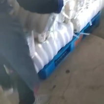 大青沟白萝卜