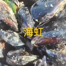 海虹