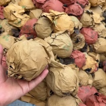 晚秋黄梨价格便宜