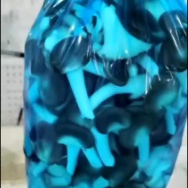 秀珍菇A货