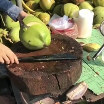 老椰子水椰皇水椰青水货源充足火爆餐饮欢迎进店选购电话联系