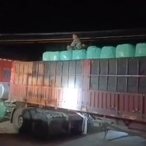 青贮玉米秸秆，原产地直发，