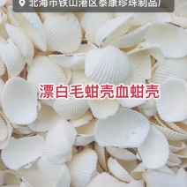 漂白毛蚶壳血蚶壳瓦楞子壳