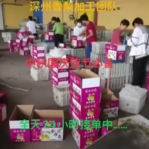 深州库尔勒香梨开始加工，各种礼品盒按需包装，