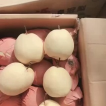 酥梨通货
