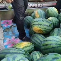 甜王西瓜