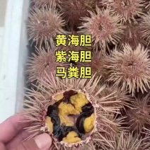 海胆