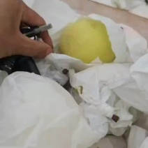 雪花梨半斤起汉源