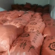 2023年新鲜油板栗