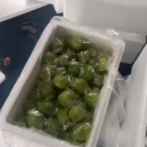 元谋牛奶青枣
