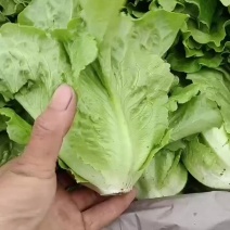 精品意大利需要的联系我