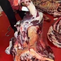 剔骨黄牛肉鲜肉，价格不贵，纯干无水，常年有货