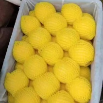 高等品质黄桃基地