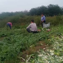 抓紧时间下单