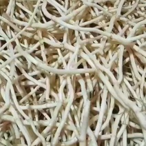 湖北省当阳市鱼腥草批发零售配送中心