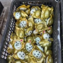 破壳蛋