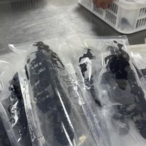 石斑鱼三去或单冻