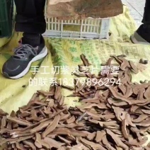 江西不苦纯手工切紫灵芝片