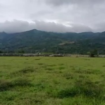土地入股合作