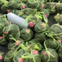 江苏大闸蟹