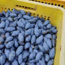 黑橄榄新鲜潮汕广西正宗腌制下饭菜做榄角泡酒乌