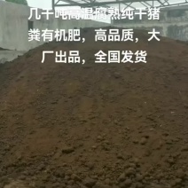 高温腐熟猪粪发酵肥。