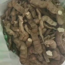 江西纯野生粉防已，大货供应商，