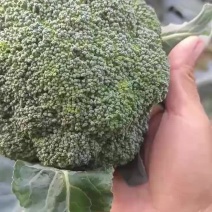 西兰花