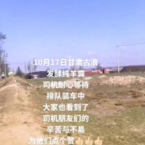 甘肃古浪发酵纯羊粪，货真价实，量大从优