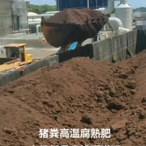 猪粪高温腐熟纯干有机肥，水份低过同行产品。