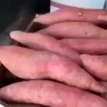 西瓜红河北廊坊大量供应有质量问题免费补发货