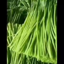 芦蒿