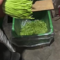 新鲜精品芦蒿
