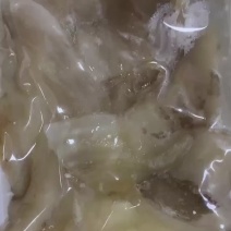 鱼唇（AAA级）