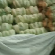 甘蓝，品质保证，价格优惠，产地直发，实力商家，量大从优