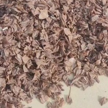 火箭鱼原料，鱿鱼尾巴