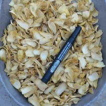 龙山卷丹百合干统货，火热销售中