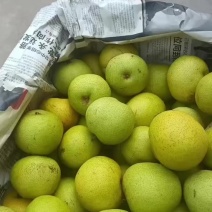 酸梨
