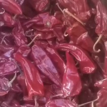 北京红干椒，半干椒