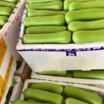 【精选瓠瓜】瓠瓜大量供应，一手货源，产地直发，诚信经营