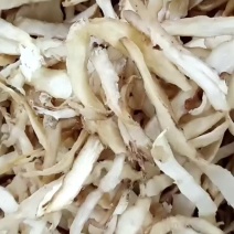 精选玉竹条片，各种规格，玉竹大全，各产地玉竹大货直供