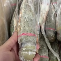 小青龙冻品