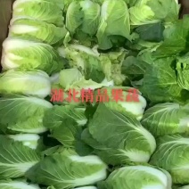 湖北万亩白菜.甘蓝大量供应，提供包地服务