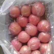夹膜红富士