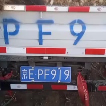 长白大葱